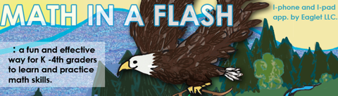 MathInAFlashBanner